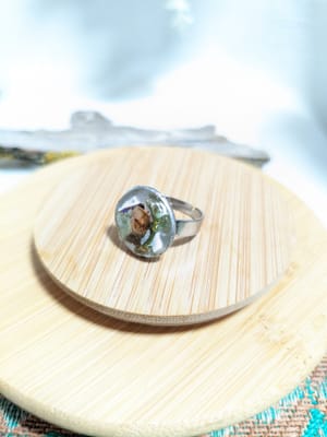 Inel reglabil, Botanical - Thumbnail 3